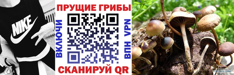 Галлюциногенные грибы мухоморы  Купить  Зверево 